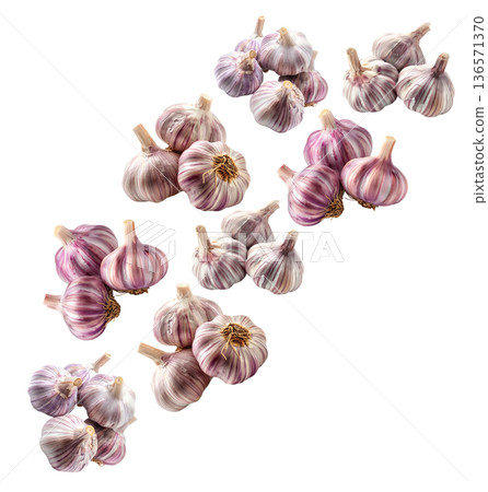 Multiple whole garlic bulbs arranged in a seamless pattern, isolated on white background. Concept of organic food and culinary spice Multiple whole garlic bulbs arranged in a seamless pattern, isolated on white background. Concept of organic food and culinary spice 136571370