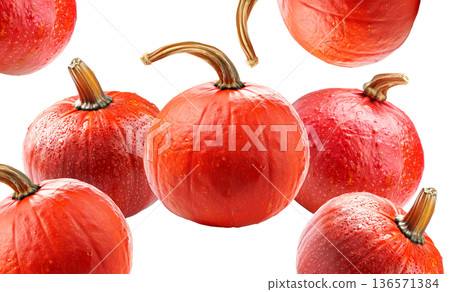Set of fresh red pumpkins with water droplets isolated on white background. Concept of harvest, organic food, and autumn Set of fresh red pumpkins with water droplets isolated on white background. Concept of harvest, organic food, and autumn 136571384