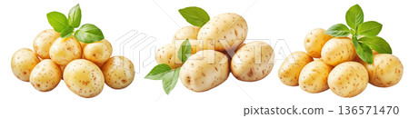 Fresh potatoes with green leaves isolated on white transparent background. Concept of healthy food 136571470