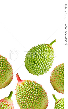Multiple green durian fruits with sharp spikes arranged in a seamless pattern isolated on white background Multiple green durian fruits with sharp spikes arranged in a seamless pattern isolated on white background 136571991
