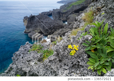Okinawa_Yonaguni Island coastal scenery 136572021