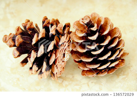 2 pine cones 2 pine cones 136572029