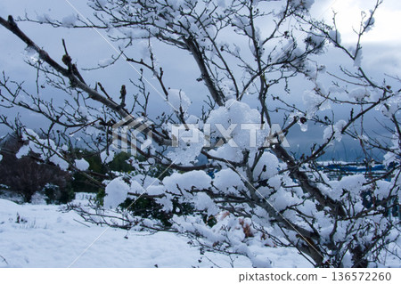 多雪的國家的風景 多雪的國家的風景 136572260