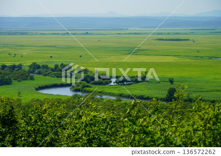 夏季釧路濕地的細岡展望台 夏季釧路濕地的細岡展望台 136572262