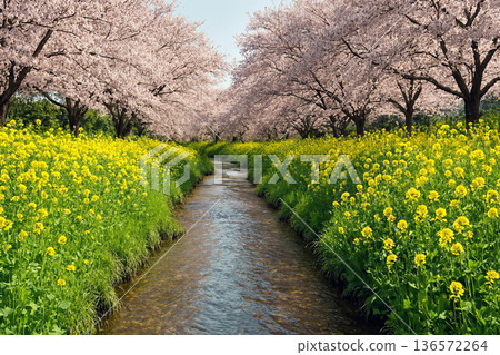 Spring brook 136572264