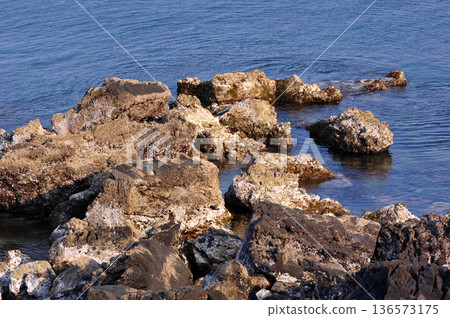長崎下島引誘熔岩海岸 長崎下島引誘熔岩海岸 136573175