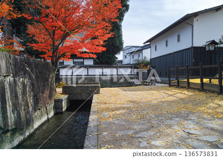 岐阜縣飛驒古川町風光及秋葉 136573831