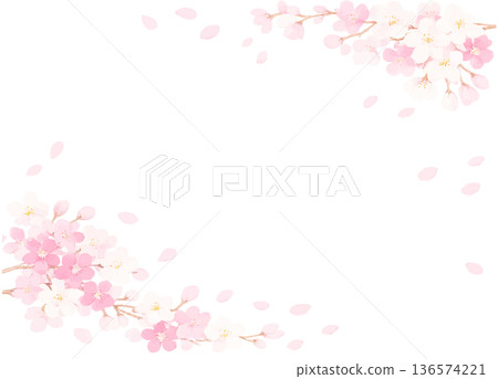 Cherry blossom and petal frame vector illustration Cherry blossom and petal frame vector illustration 136574221