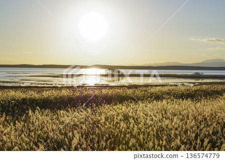 從野付半島眺望野付灣的日落 136574779