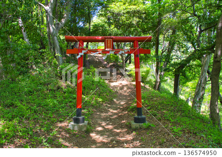 [Kanagawa Prefecture] Torii gate of Tobioyama Konpira Shrine 136574950