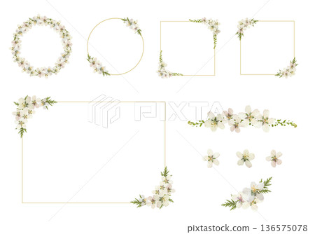 櫻花壓花相框套裝 春季植物裝飾材質 PNG 透明 櫻花壓花相框套裝 春季植物裝飾材質 PNG 透明 136575078