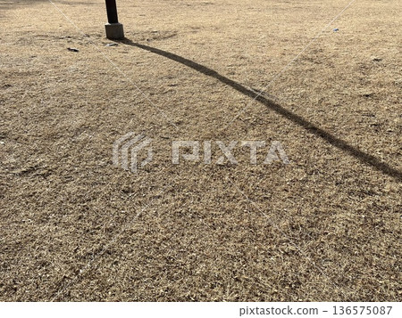 Withered grass and street lamp shadows in an autumn park 136575087