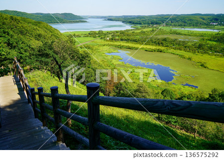 Kushiro Marsh in Summer: Toji Sarurun Observatory 136575292