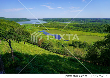Kushiro Marsh in Summer: Toji Sarurun Observatory 136575293