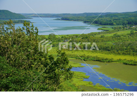 夏季的釧路濕地:一列火車行駛在釧路本線上,穿過廣闊的濕地。 夏季的釧路濕地:一列火車行駛在釧路本線上,穿過廣闊的濕地。 136575296