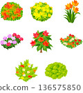 一套舒緩的插畫，描繪了各種色彩繽紛的植物。 136575850