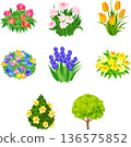 一套舒緩的插畫，描繪了各種色彩繽紛的植物。 136575852