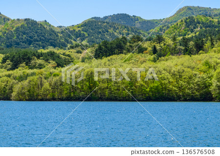 Shichikashuku Dam and Lake with blue sky and fresh greenery Shichikashuku Dam and Lake with blue sky and fresh greenery 136576508