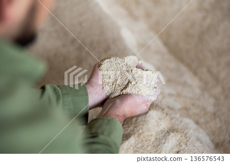 Corn meal in hands of farmer checking quality of livestock feed Corn meal in hands of farmer checking quality of livestock feed 136576543