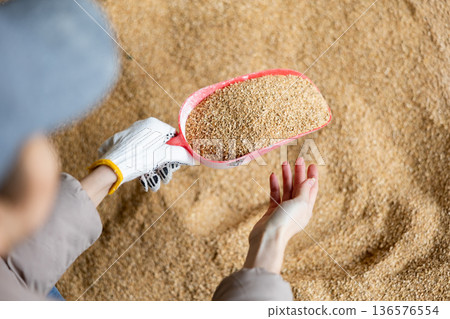 Scoop with soy husk in hands of female farmer Scoop with soy husk in hands of female farmer 136576554