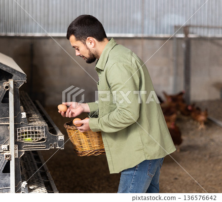 Man farmer collecting fresh eggs at henhouse Man farmer collecting fresh eggs at henhouse 136576642