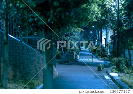晚上綠樹成蔭的道路 晚上綠樹成蔭的道路 136577157