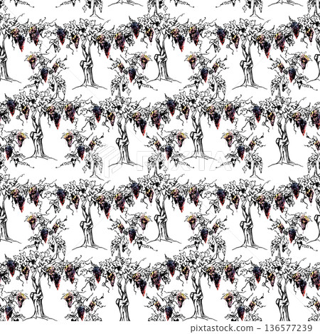 Seamless pattern with grape clusters on leafy vine trunk hand drawn in ink and watercolor. Packaging, menus, wrapping paper, textile prints, organic branding, blog graphics, culinary editorial design. 136577239