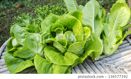 Organic salad greens are laid out on a wooden floor. Organic salad greens are laid out on a wooden floor. 136577392