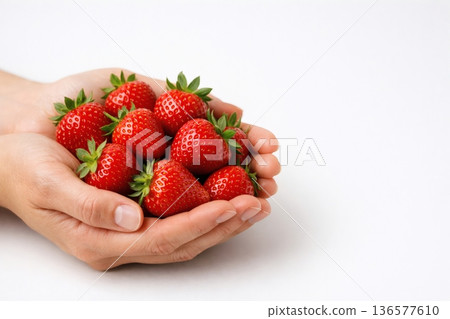 手中拿著新鮮草莓 手中拿著新鮮草莓 136577610