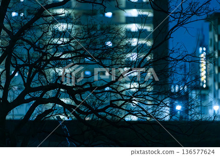 Tree branches and apartment building Tree branches and apartment building 136577624