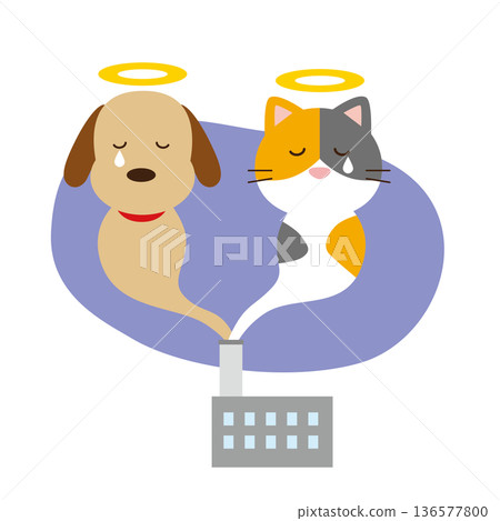 Euthanasia of dogs and cats Euthanasia of dogs and cats 136577800