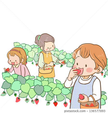 Women enjoying strawberry picking Women enjoying strawberry picking 136577893