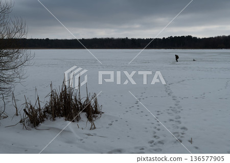 winter landscape with a pond 136577905