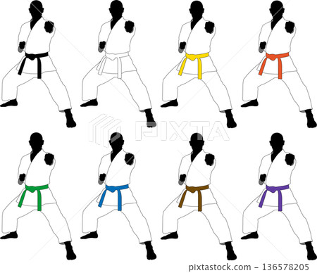 A set of karate practitioners of various belts posing in kata 136578205