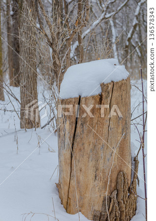 Snow Covered Wooden Fence Post 136578343