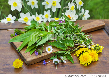 Spring plants herbs 136578381