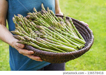 Asparagus Asparagus 136578418