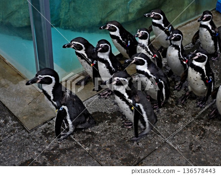 Scenery of Kinosaki Marine World Scenery of Kinosaki Marine World 136578443