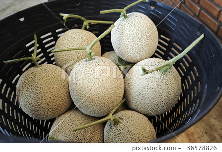 Fresh green melon in basket Fresh green melon in basket 136578826