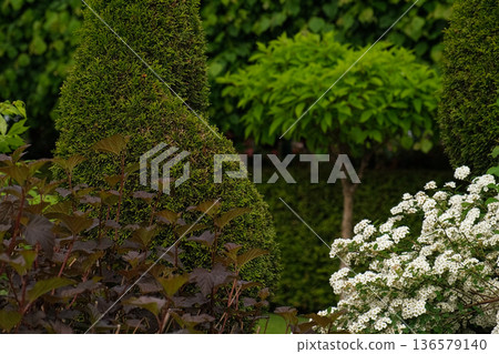 Different types of shrubbery, shrubs, stone path surrounded by evergreen trees. Professional Landscaping with lots of flowers, plants, rocks on the ground. Garden Daily Idea. English style. Real Video Different types of shrubbery, shrubs, stone path surrounded by evergreen trees. Professional Landscaping with lots of flowers, plants, rocks on the ground. Garden Daily Idea. English style. Real Video 136579140