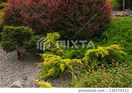 Frontyard Paver Walkway. Beautiful Ornamental Garden landscape design. Path made of natural stones, gravel. Landscaping modern trend. Lawn, shrubbery in the backyard. Abundance Of Plants Shrubs, Trees 136579152