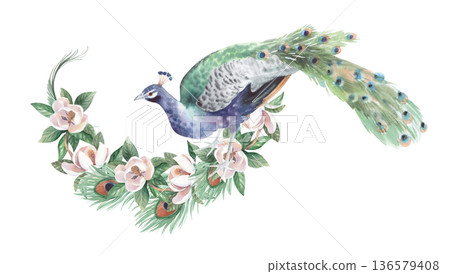 The composition of peacock, the blooming magnolia and feathers. Handmade watercolor illustration. For cards, cover, wallpaper, prints, product labels and fabric. 136579408