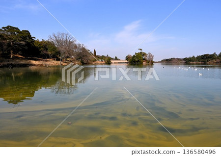View of Michishiro Pond 136580496