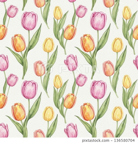 鬱金香圖 136580704