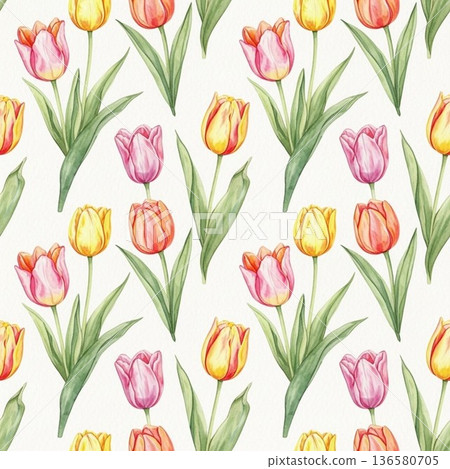 鬱金香圖 136580705