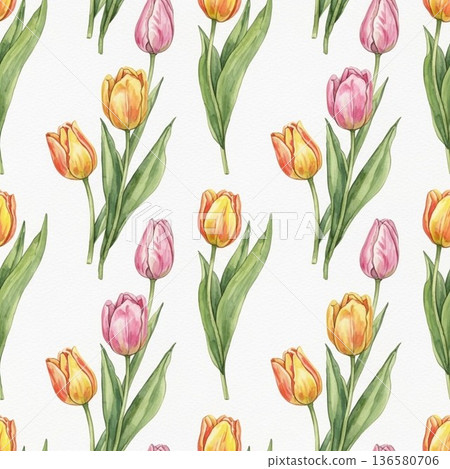鬱金香圖 136580706