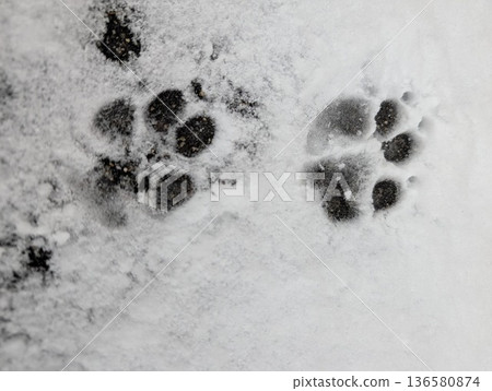 Footprints Footprints 136580874