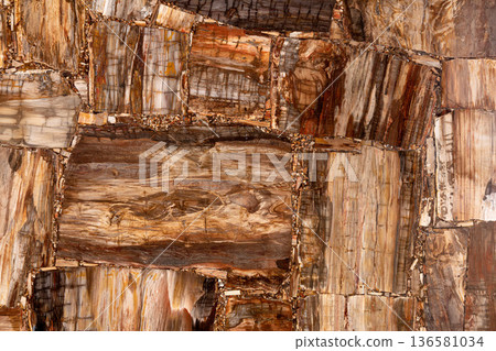 Petrified wood matt texture. Semi precious pattern. Exclusive luxury gemstone background. Material for unique interior, exterior design decoration. Brown luxury matt mineral texture. Petrified wood matt texture. Semi precious pattern. Exclusive luxury gemstone background. Material for unique interior, exterior design decoration. Brown luxury matt mineral texture. 136581034