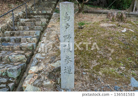 京都市東山區第66代一條天皇帝子都靈陵 136581583