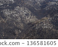 Akiyoshidai: Earth and Stones 136581605